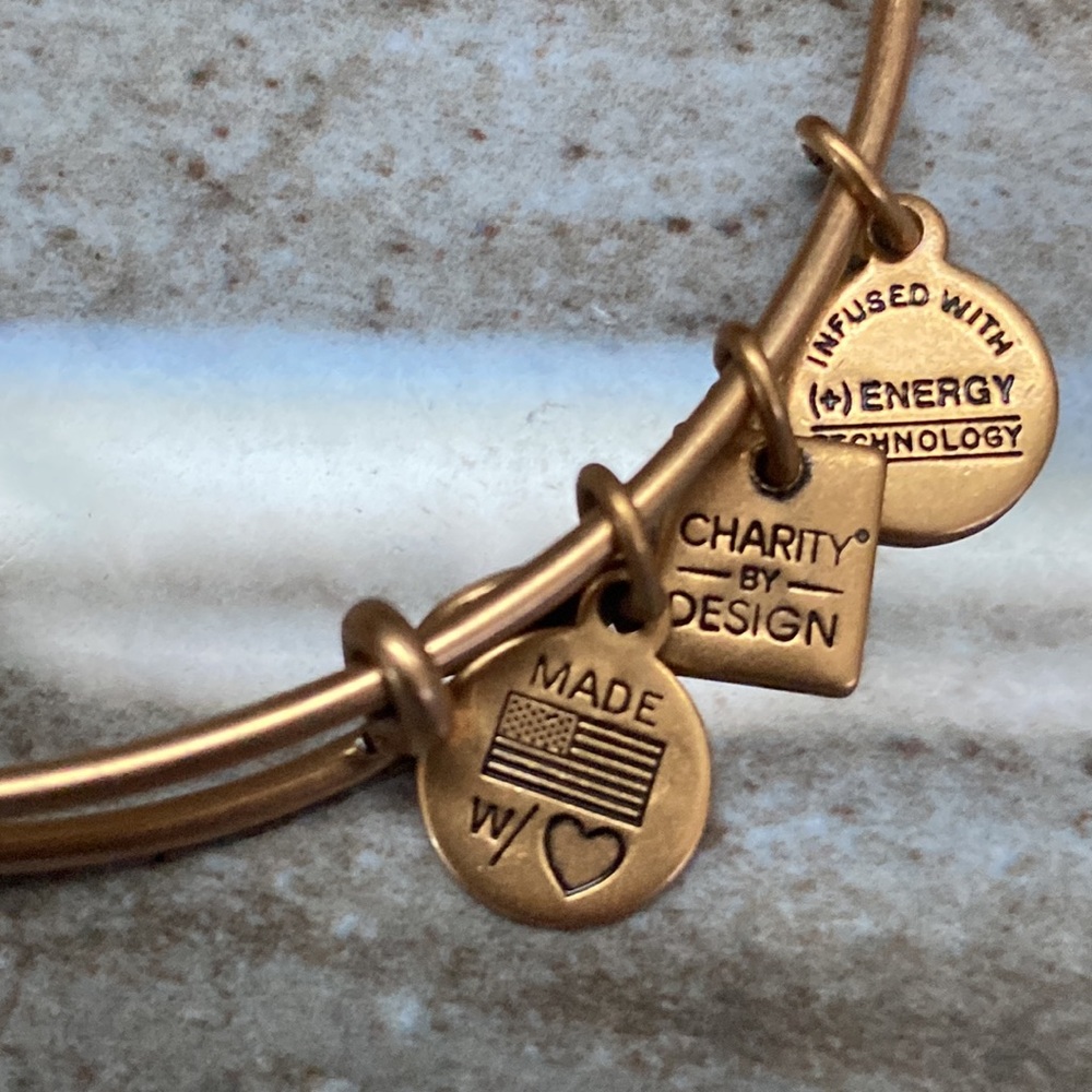 Alex And Ani World Globe Map Bangle Bracelet - image 6